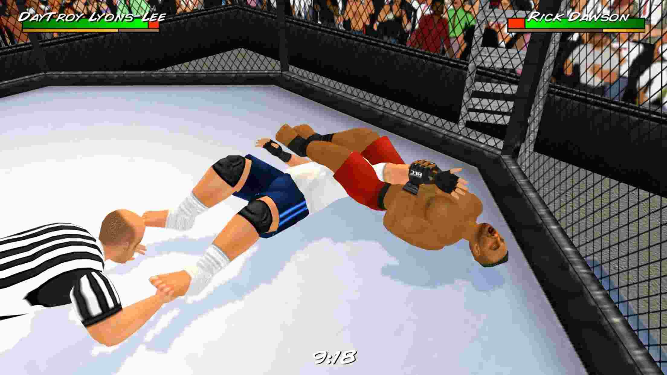 Tai Wrestling Revolution 3D 